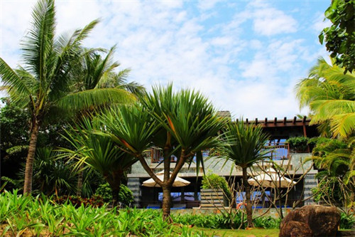 奶瓶加盟投资开店哪些品牌有优势