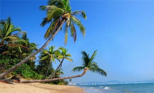 餐饮牌匾怎样设计好看又实用，餐饮牌匾怎样设计好看