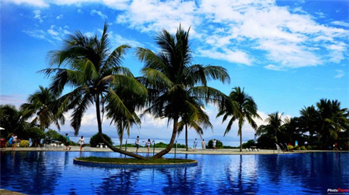 风味铁板加盟费多少