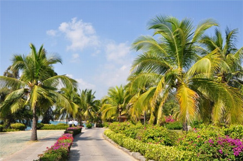 创业开卖鸡店赚钱吗