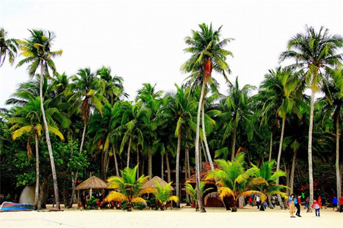 开一家驰加汽车美容加盟店可靠吗