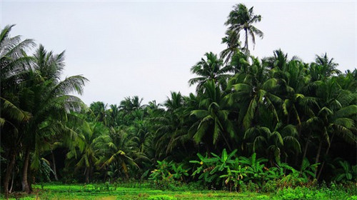 加盟众一品过桥米线好不好