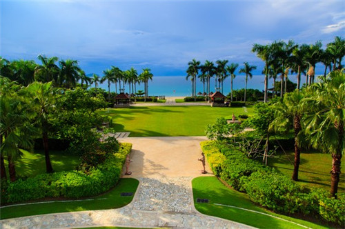 霍怀峥洛依泠（霍怀峥洛依泠小说免费阅读最新）