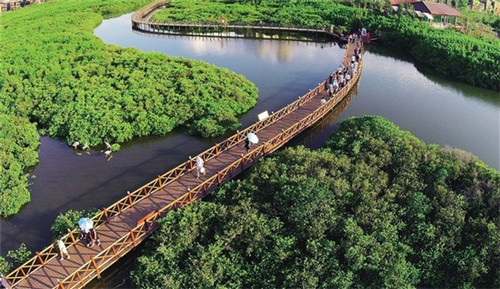 CF手游怎么玩风之子（cf手游风之子教学）