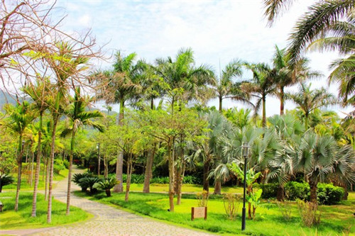 经理老板电竞办公椅（老板椅好还是电竞椅好）