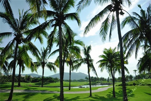 属鼠孩子名字带金字旁好吗（属鼠的名字带金好不好）